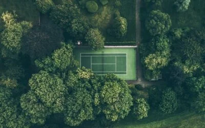 Priming your Team for Performance and High Potential
